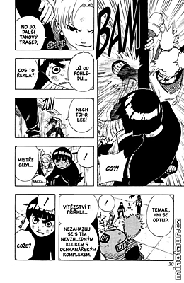 Naruto 09: Nedži versus Hinata