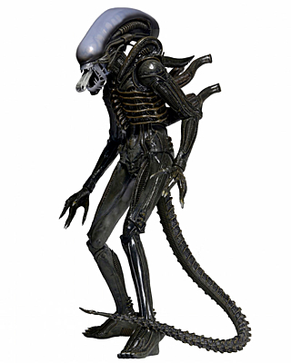Alien - 1979 Xenomorph 56 cm (51362)
