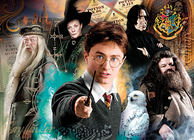 Harry Potter - Harry at Hogwarts - Puzzle (500)