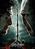 Harry Potter - Harry vs. Voldemort - Puzzle (1000)
