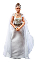 Star Wars - The Black Series - Princess Leia Organa (Yavin 4) Action Figure (Star Wars: A New Hope)