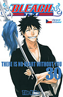 Bleach 30: There Is No Heart With You